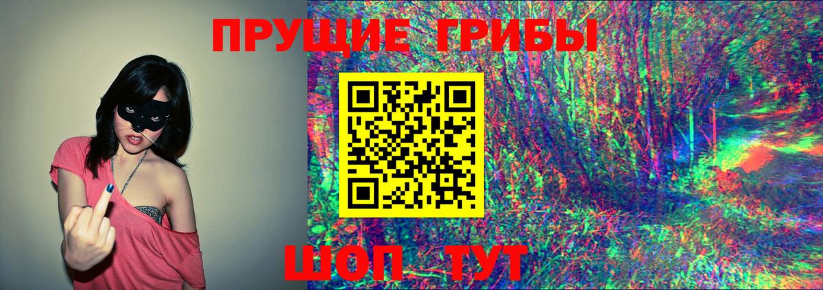 Галлюциногенные грибы MAGIC MUSHROOMS  Вход с VPN  где продают   Галлюциногенные грибы ЛСД  Ишим 